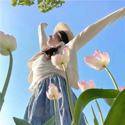 美人鱼的夏天